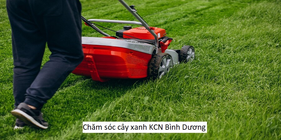 Chăm sóc cây xanh KCN Bình Dương