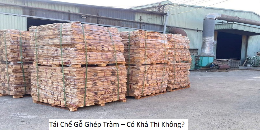 Tái Chế Gỗ Ghép Tràm – Có Khả Thi Không?